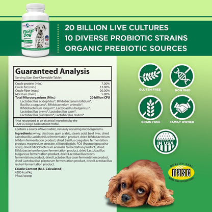 Flora Dog Probiotic Chewable Tablets for Dogs - 20 Billion CFU, 10 Strains