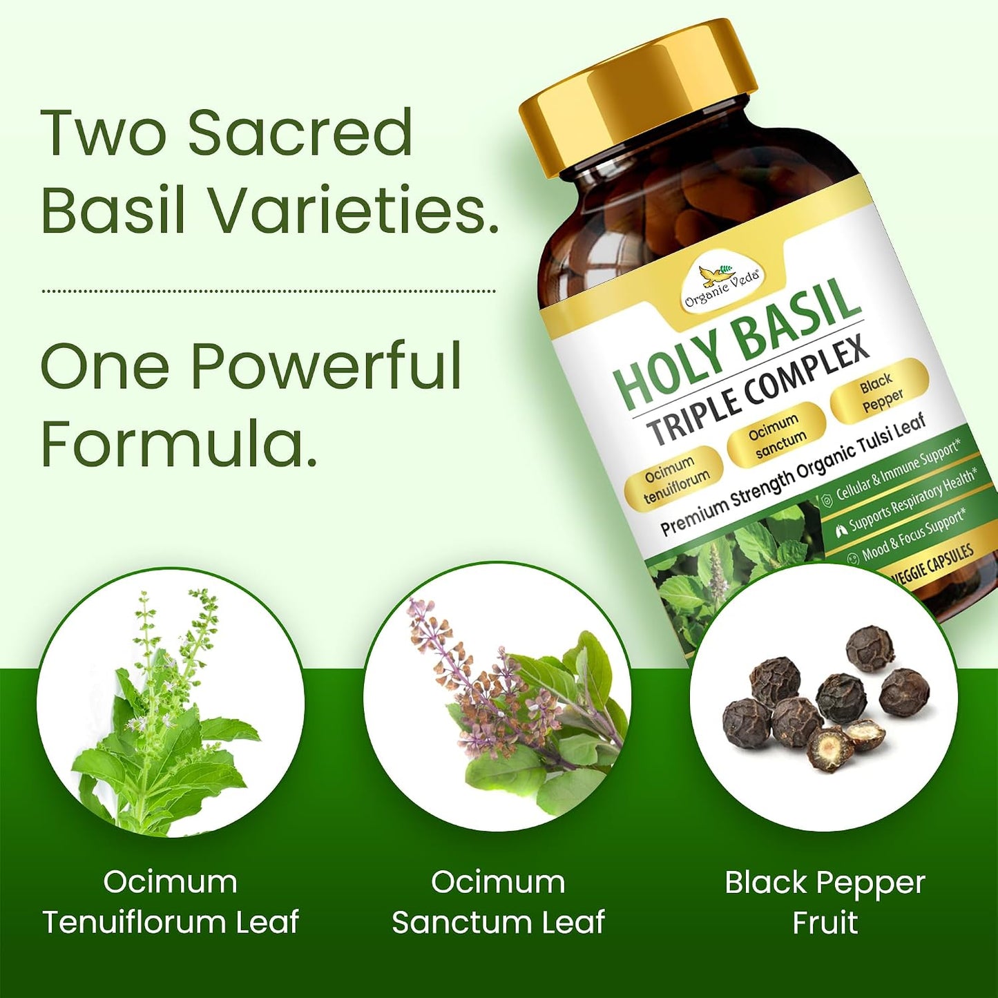 Organic Veda Holy Basil Capsules - Triple Complex Tulsi Leaf Supplement with Black Pepper Extract - Supports Respiratory & Immune Health, Helps Maintain a Balanced Stress Response & Mood - 60 Vegan Capsules - görsel 3