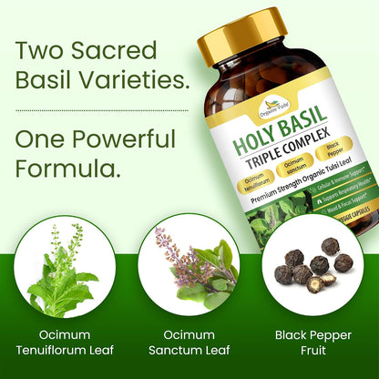 Organic Veda Holy Basil Capsules - Triple Complex Tulsi Leaf Supplement with Black Pepper Extract - Supports Respiratory & Immune Health, Helps Maintain a Balanced Stress Response & Mood - 60 Vegan Capsules