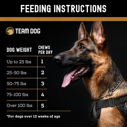 TEAM DOG Probiotic Chews for Dogs | Digestive Enzymes & Probiotics for Gut Health, Skin Support, and Sensitive Stomachs | 120 Chews