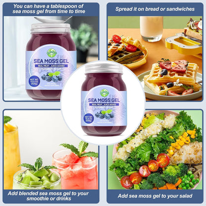 SumDIP Sea Moss Gel, Blueberry, 525g - Raw Irish Seamoss for Immune & Digestive Support