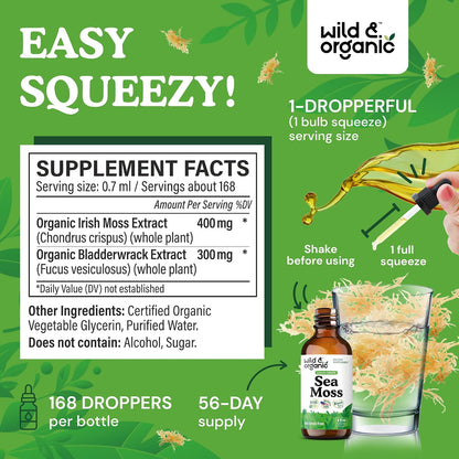 Wild & Organic Sea Moss Drops - Irish Sea Moss & Bladderwrack Liquid Tincture - Vegan, Alcohol-Free - 118 ml