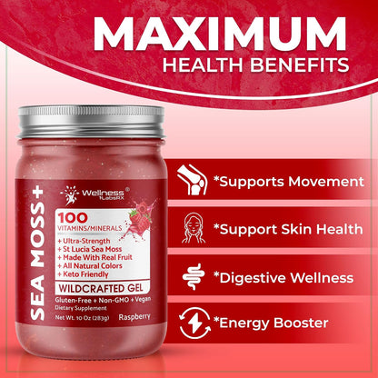 WELLNESS LABSRX Irish Sea Moss Gel - Wildcrafted Superfood, Raspberry Flavour, 283 g