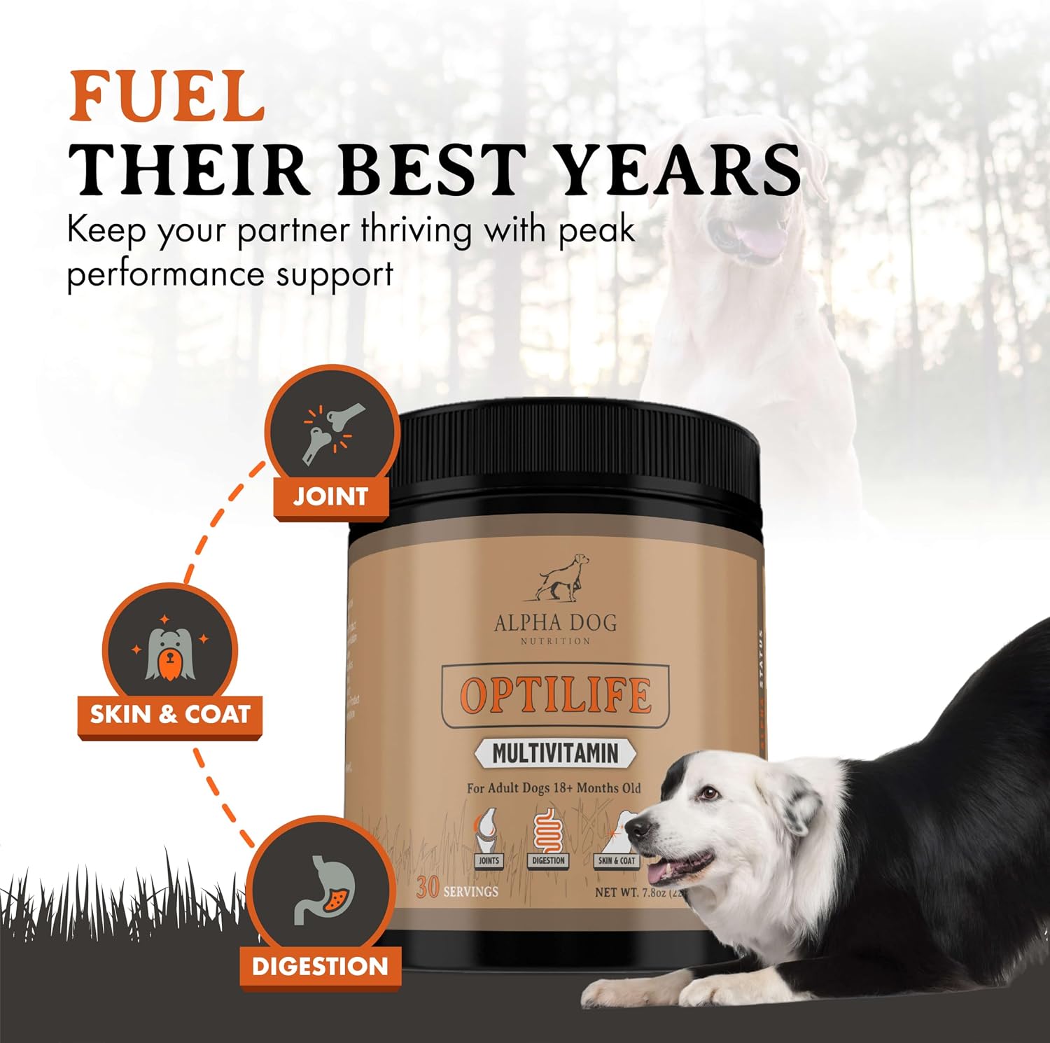 OptiLife Dog Multivitamin Powder - Adult Dog Multivitamin with Probiotics, Allergy Support, Joint Support, Skin & Coat Support - Dog Vitamins and Supplements (30 Servings) - görsel 2
