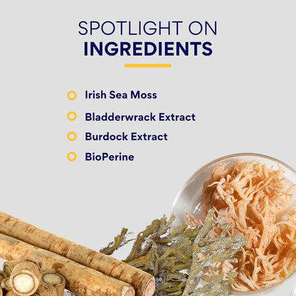 Research Verified Irish Sea Moss - Bladderwrack, Burdock, BioPerine - Rich in Prebiotics - Supports Immunity & Digestion - 180 Capsules - Vegan - Made in the USA