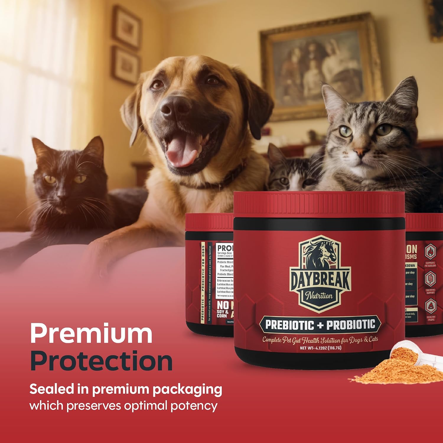 Daybreak Nutrition Probiotics for Cats & Dogs - 6 Billion CFU Prebiotic & Probiotic Powder - 8 Strains - Gut Health Supplement - görsel 5