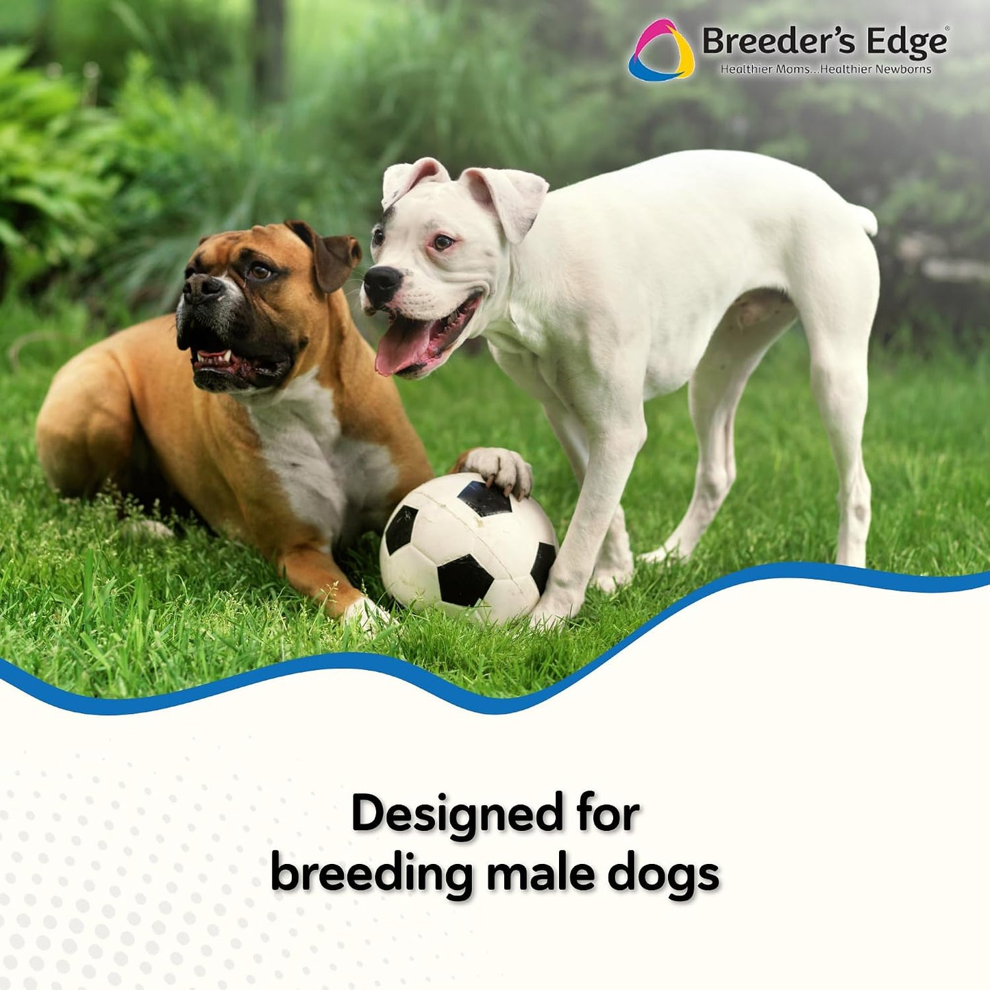 Breeder’s Edge In Between For Him – Daily Multivitamin for Male Dogs and Cats, 90 Count - görsel 4