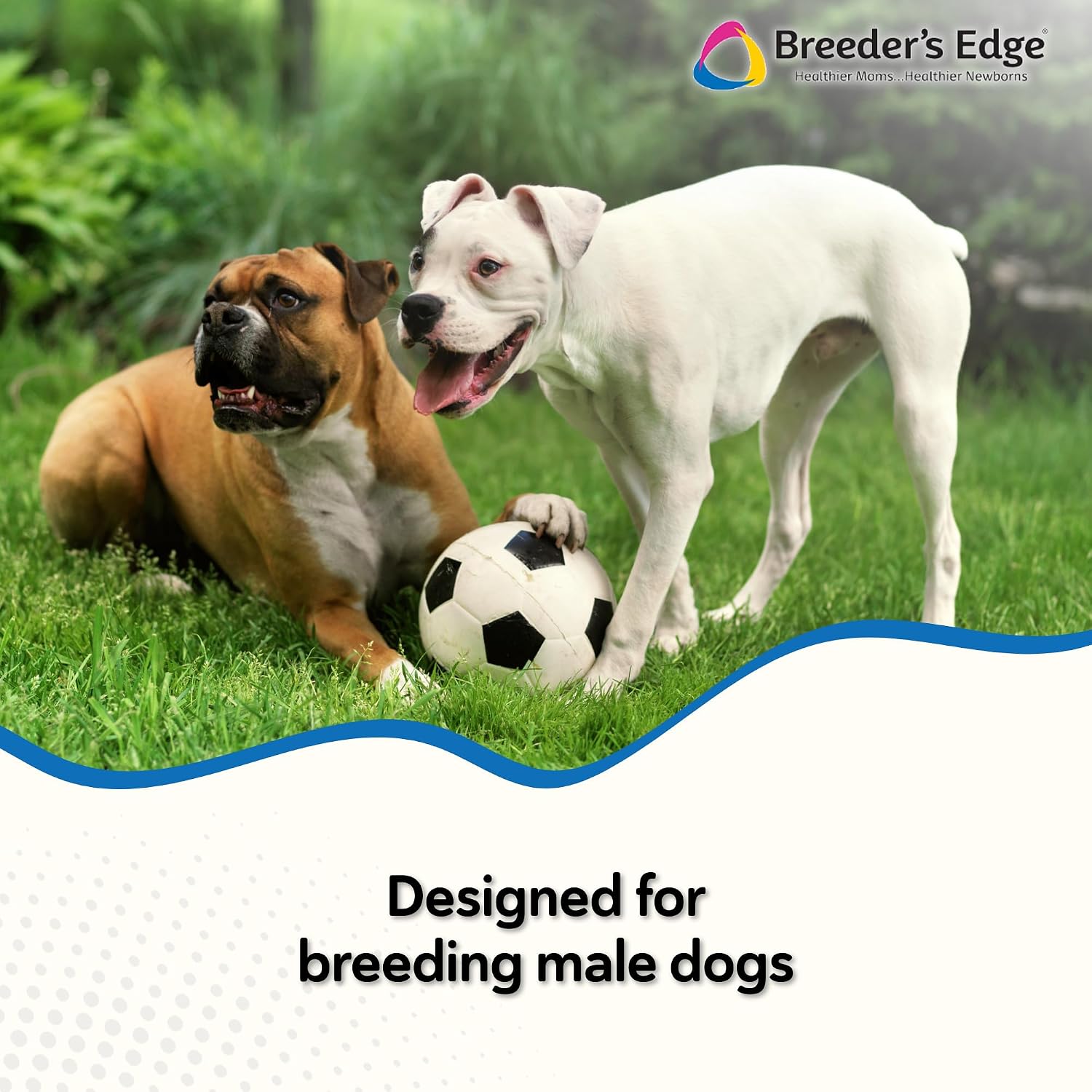 Breeder’s Edge In Between For Him – Daily Multivitamin for Male Dogs and Cats, 90 Count - görsel 4