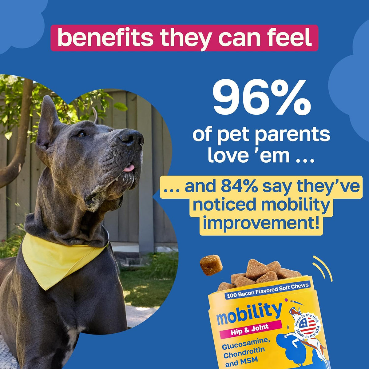 Happy Paws Skin and Coat Supplement for Dogs, Itch and Allergy Relief, 100 Chews - görsel 4