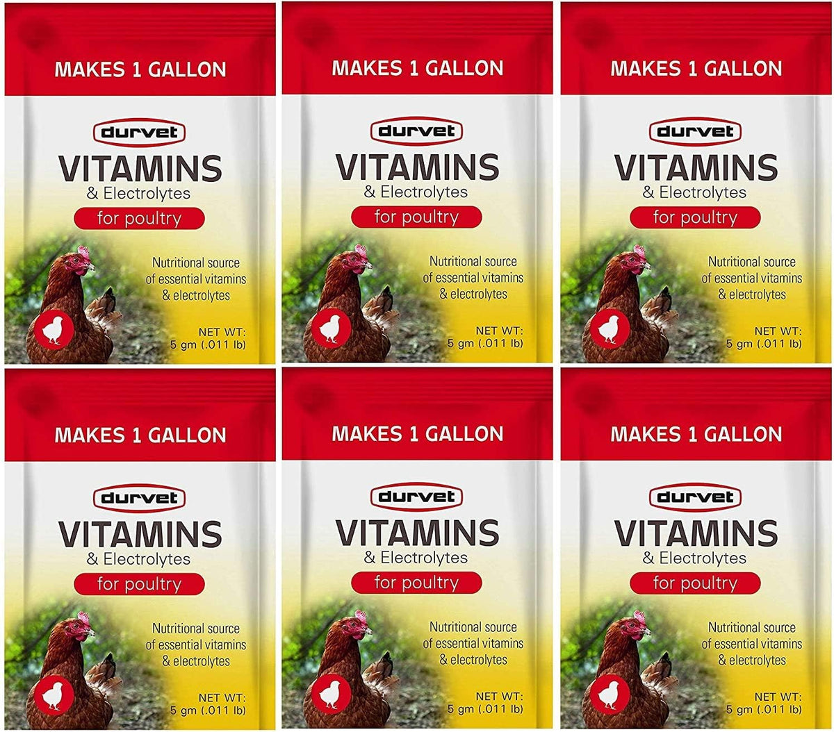 Durvet 6-Pack of Vitamins and Electrolytes for Poultry, 5g per Sachet, Makes Approximately 23 Litres - görsel 1