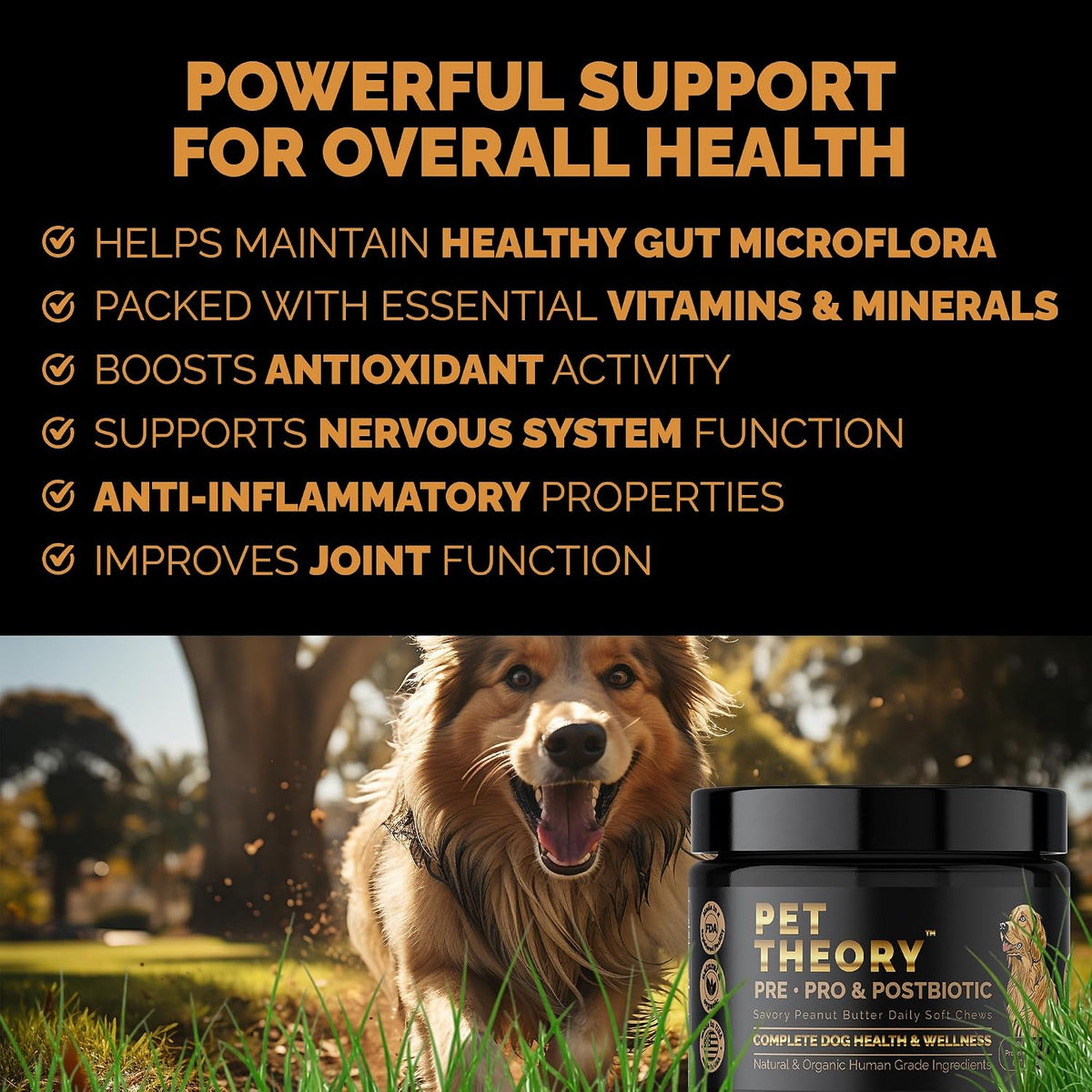 Pet Theory Probiotics for Dogs – Pre, Pro & Postbiotic Soft Chews for Digestive Health and General Wellbeing (100 Chews) - görsel 5