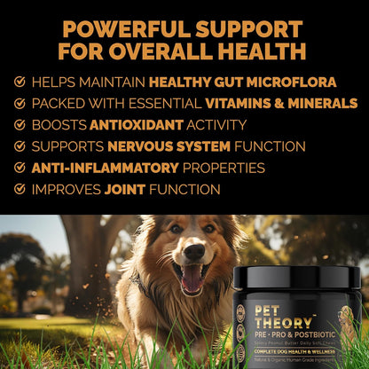 Pet Theory Probiotics for Dogs – Pre, Pro & Postbiotic Soft Chews for Digestive Health and General Wellbeing (100 Chews)