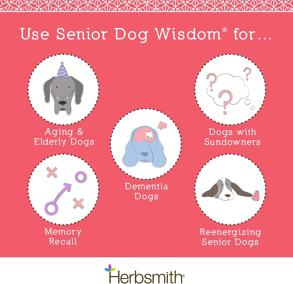 Herbsmith Senior Dog Wisdom - Brain Health Supplement for Senior Dogs - 75g - görsel 2