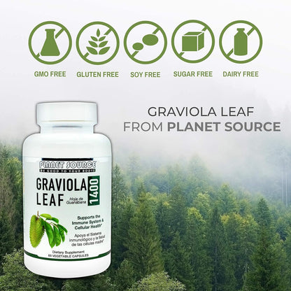 Graviola Leaf – Annona Muricata Soursop – Traditional Herbal Supplement – Natural Antioxidant – 60 Vegetable Capsules (1400mg)