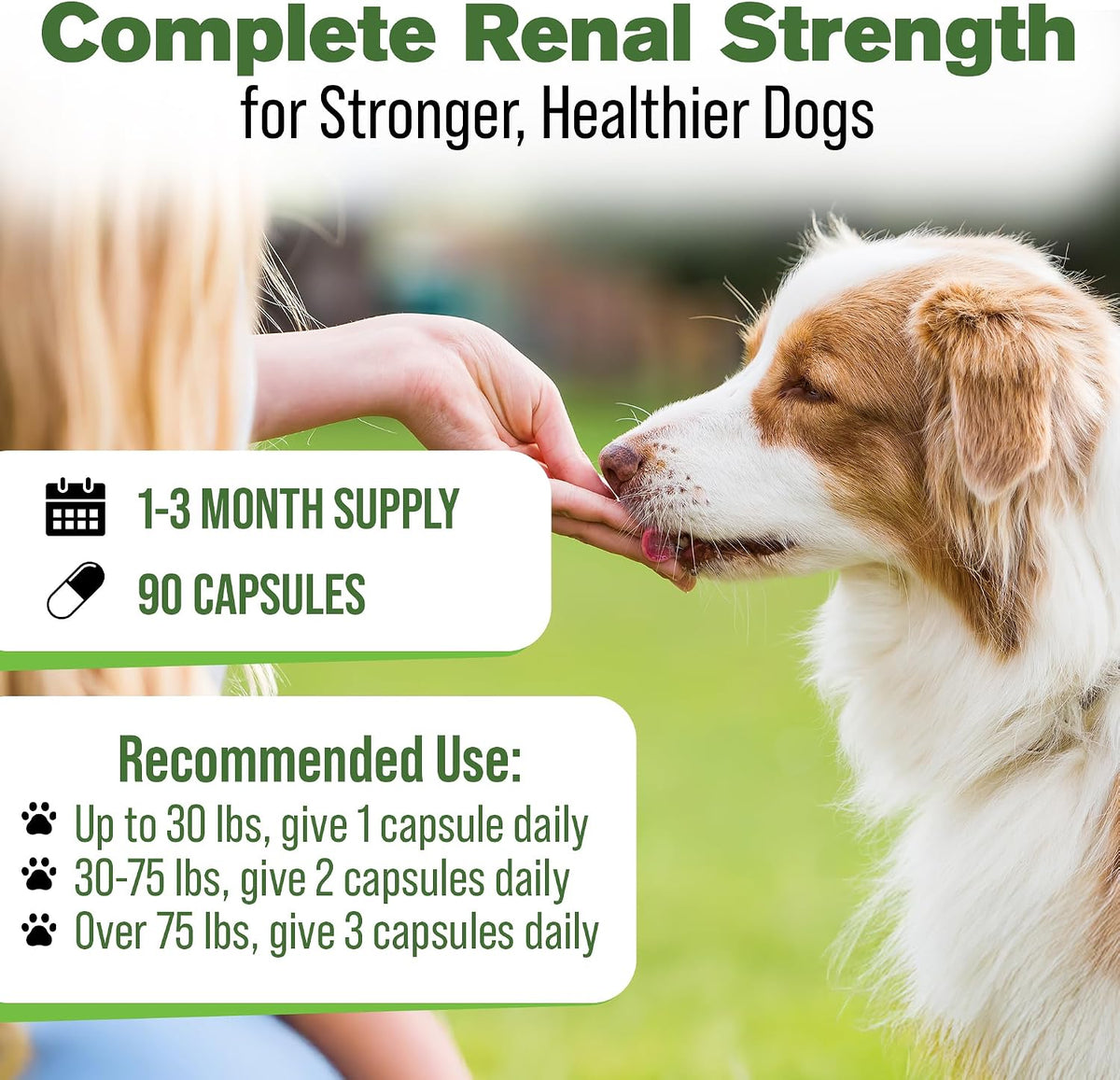 Kidney Support for Dogs – Natural Herbal Canine Kidney Cleanse & Bladder Support Supplement with Cranberry & Astragalus – 90 Capsules - görsel 4