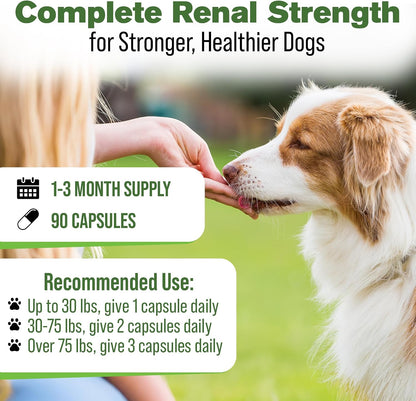 Kidney Support for Dogs – Natural Herbal Canine Kidney Cleanse & Bladder Support Supplement with Cranberry & Astragalus – 90 Capsules