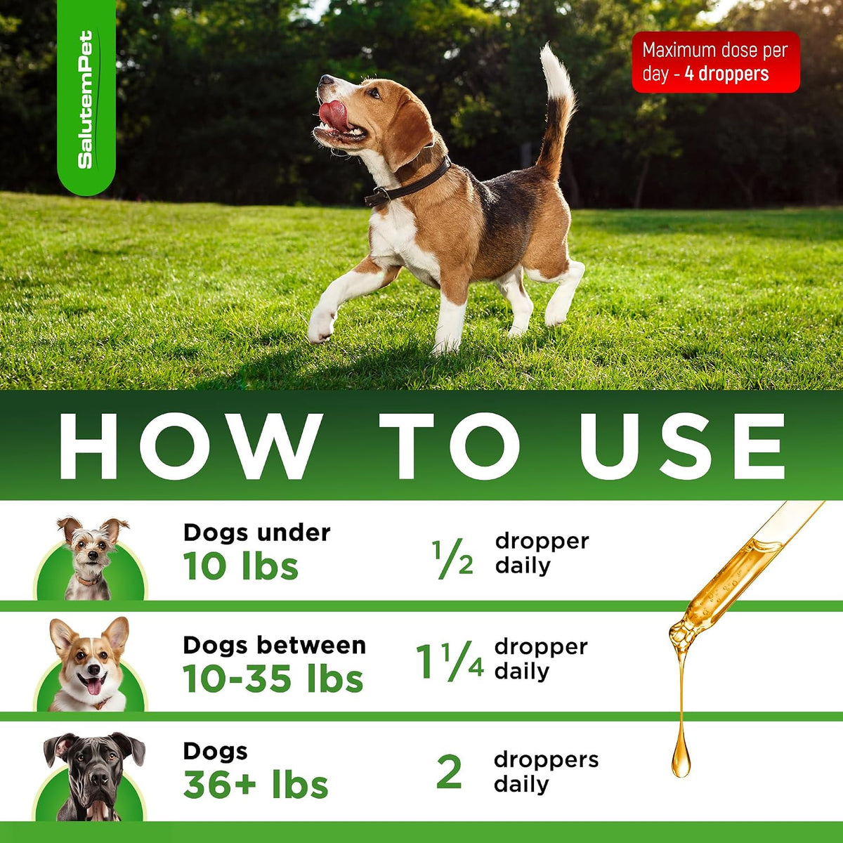 Natural Antibiotics for Dogs and Puppies – Herbal Ingredients – Bacon Flavour – 2 oz Liquid - görsel 4