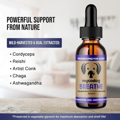 MycoDog Breathe - Respiratory Support for Dogs - Natural Mushroom & Ashwagandha Drops for Breathing Comfort