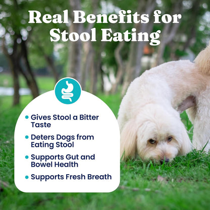 Solid Gold No Poo Chews for Dogs – Coprophagia Deterrent & Faeces Eating Deterrent with Peppermint & Probiotics – 60ct