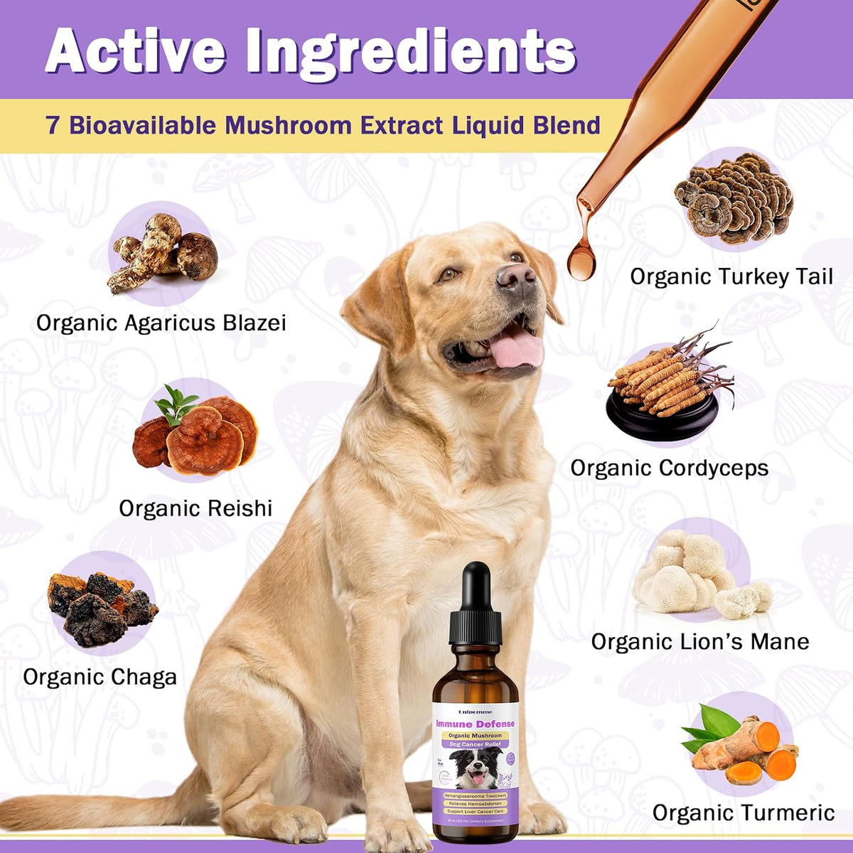 Pet Critical Guard Dog Immune Support Supplement with Turkey Tail Mushroom - 2 oz (59 ml) - görsel 4