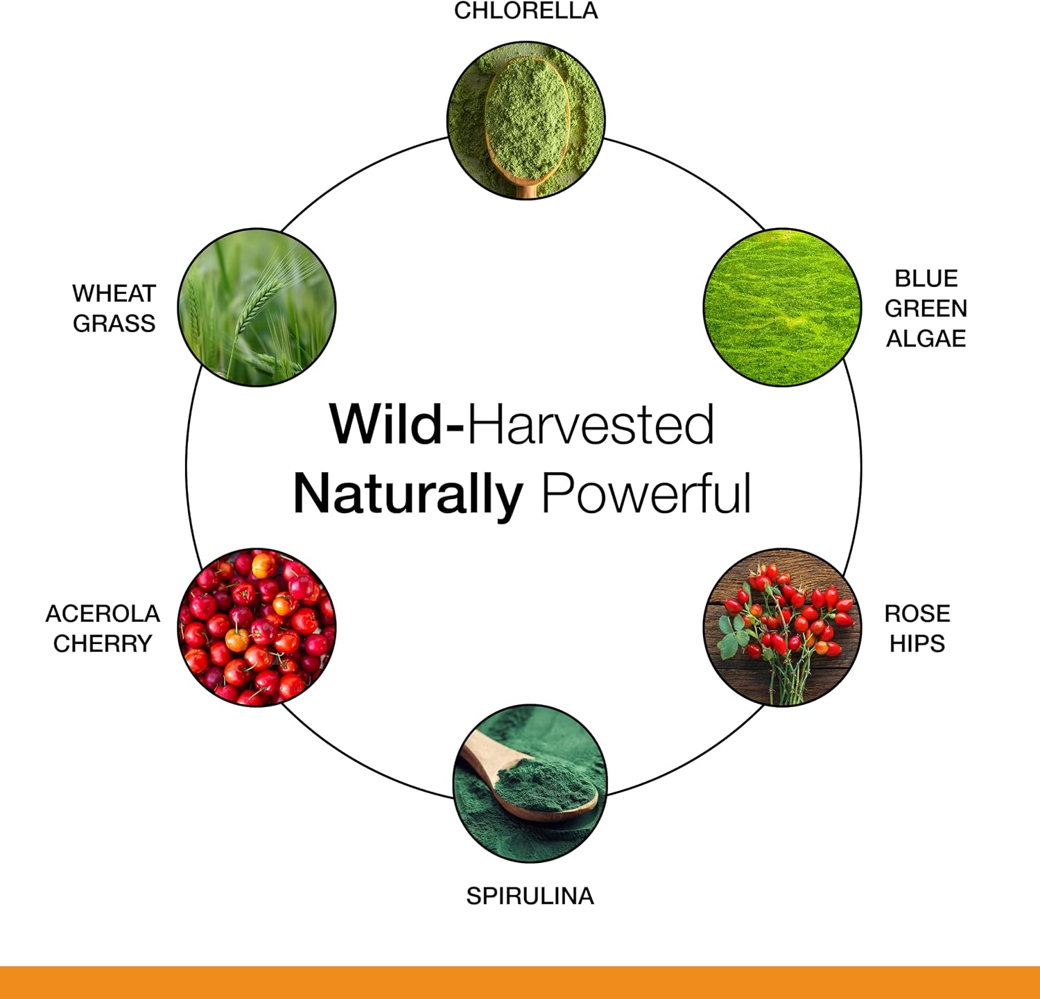 Dr. Schulze's Superfood 100 - Everyday Superfood Supplement - Citrus Pineapple Flavour Powder - 30 Servings - görsel 5