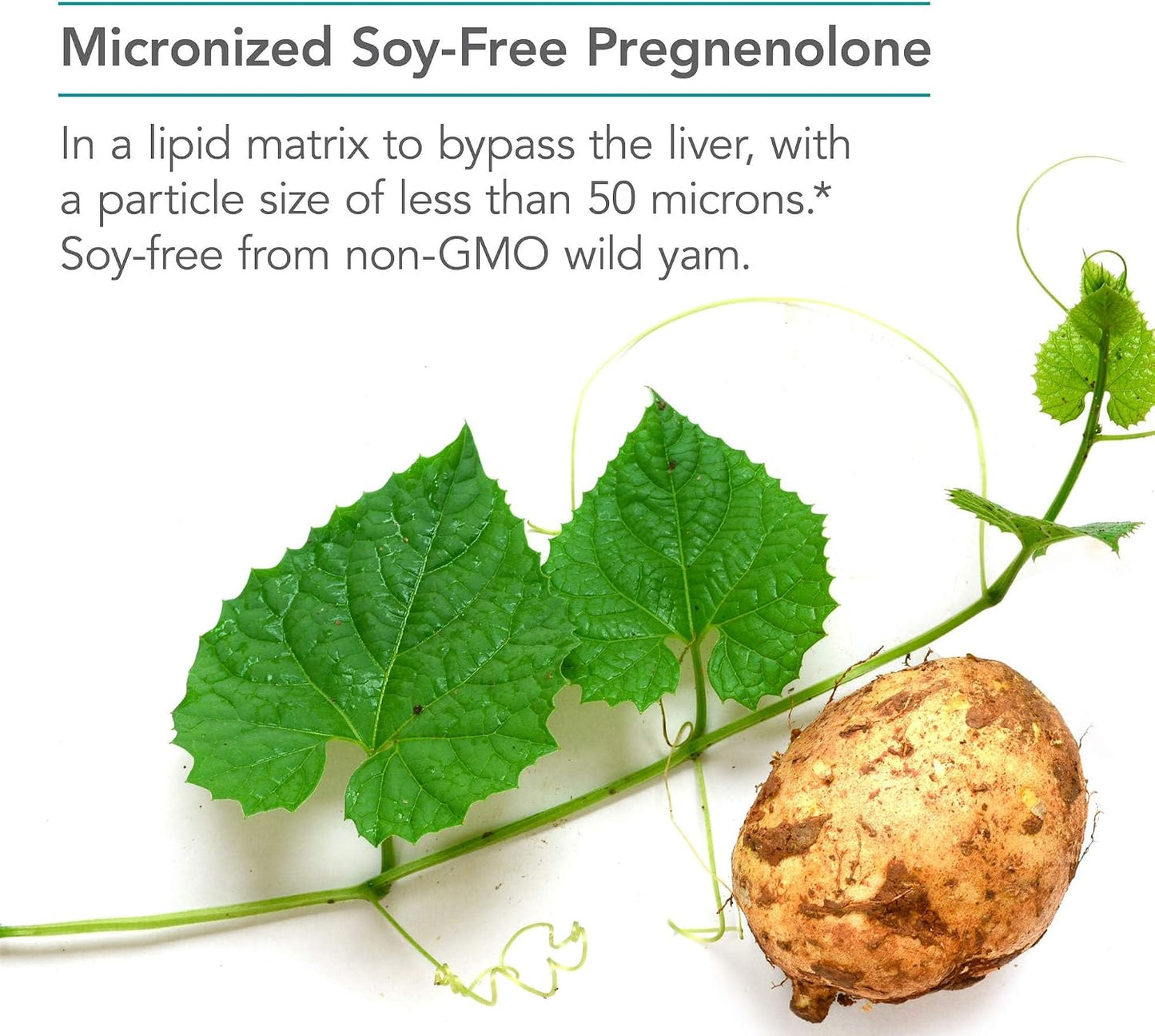 NutriCology Pregnenolone 100 mg - Micronised Hormone Precursor - 60 Tablets - görsel 4