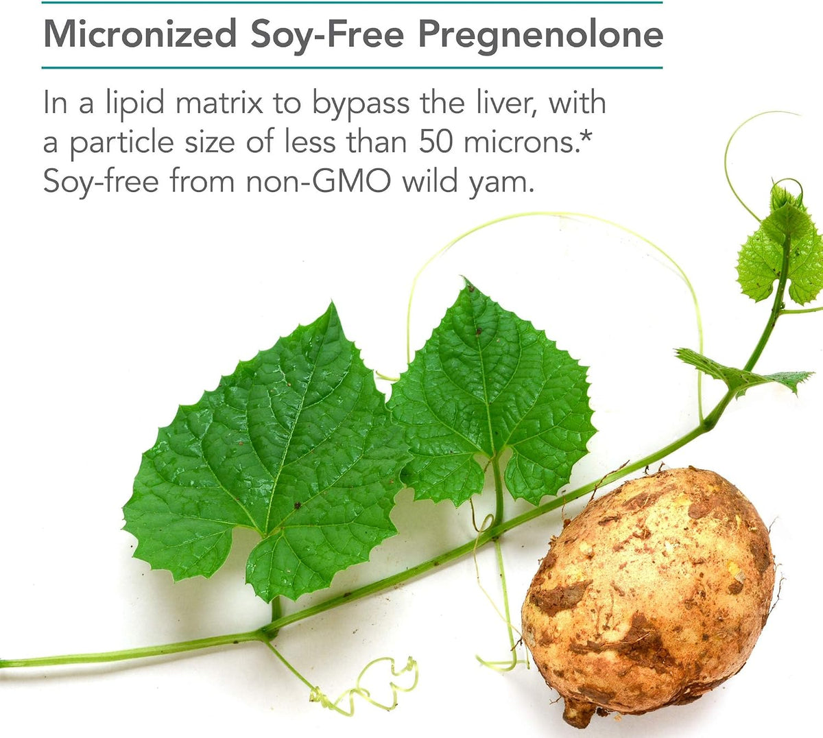 NutriCology Pregnenolone 100 mg - Micronised Hormone Precursor - 60 Tablets - görsel 4