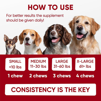 Pawzitive Pets Probiotics for Dogs - Digestive Health Chews with Enzymes