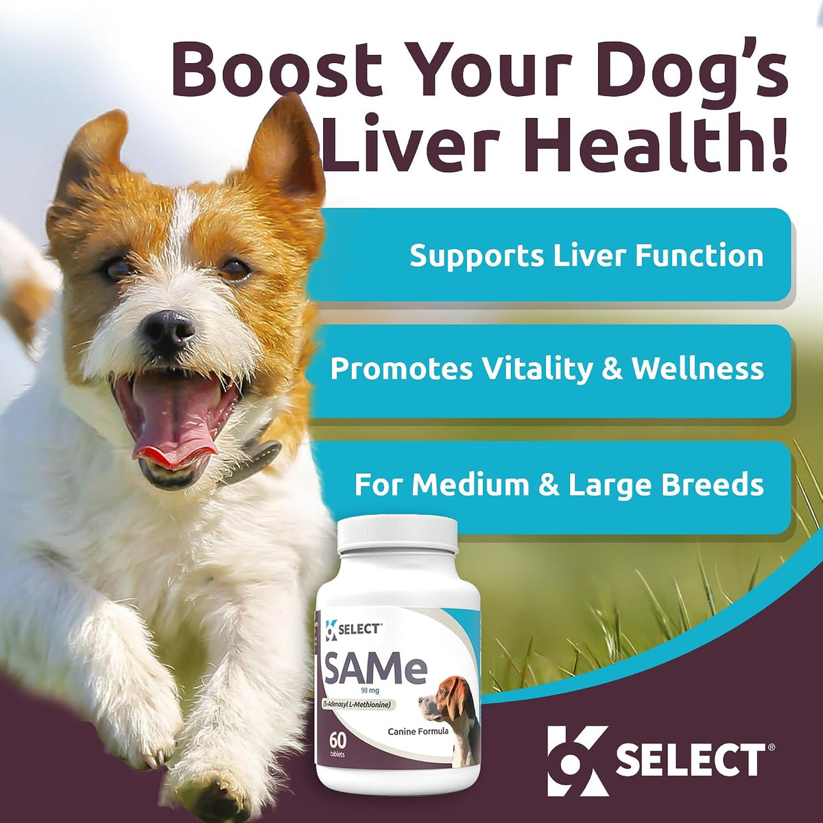 K9 Select SAM-e for Dogs – Liver and Joint Support Supplement for Small and Medium Dogs (90mg, 60 Enteric-Coated Tablets) - görsel 2