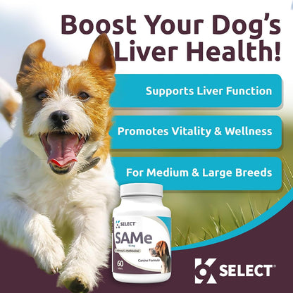 K9 Select SAM-e for Dogs – Liver and Joint Support Supplement for Small and Medium Dogs (90mg, 60 Enteric-Coated Tablets)