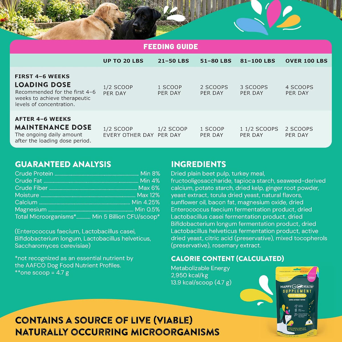 Happy Go Healthy Dog Gut Health Probiotics – 9–23 kg: 1 scoop daily – Image 7