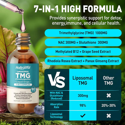 HOLLEGEND Liposomal TMG Supplement Liquid Drops - 1000 mg Trimethylglycine (Betaine Anhydrous) for Methylation Support - Non-GM, Vegan, Blueberry Flavour - 60 ml