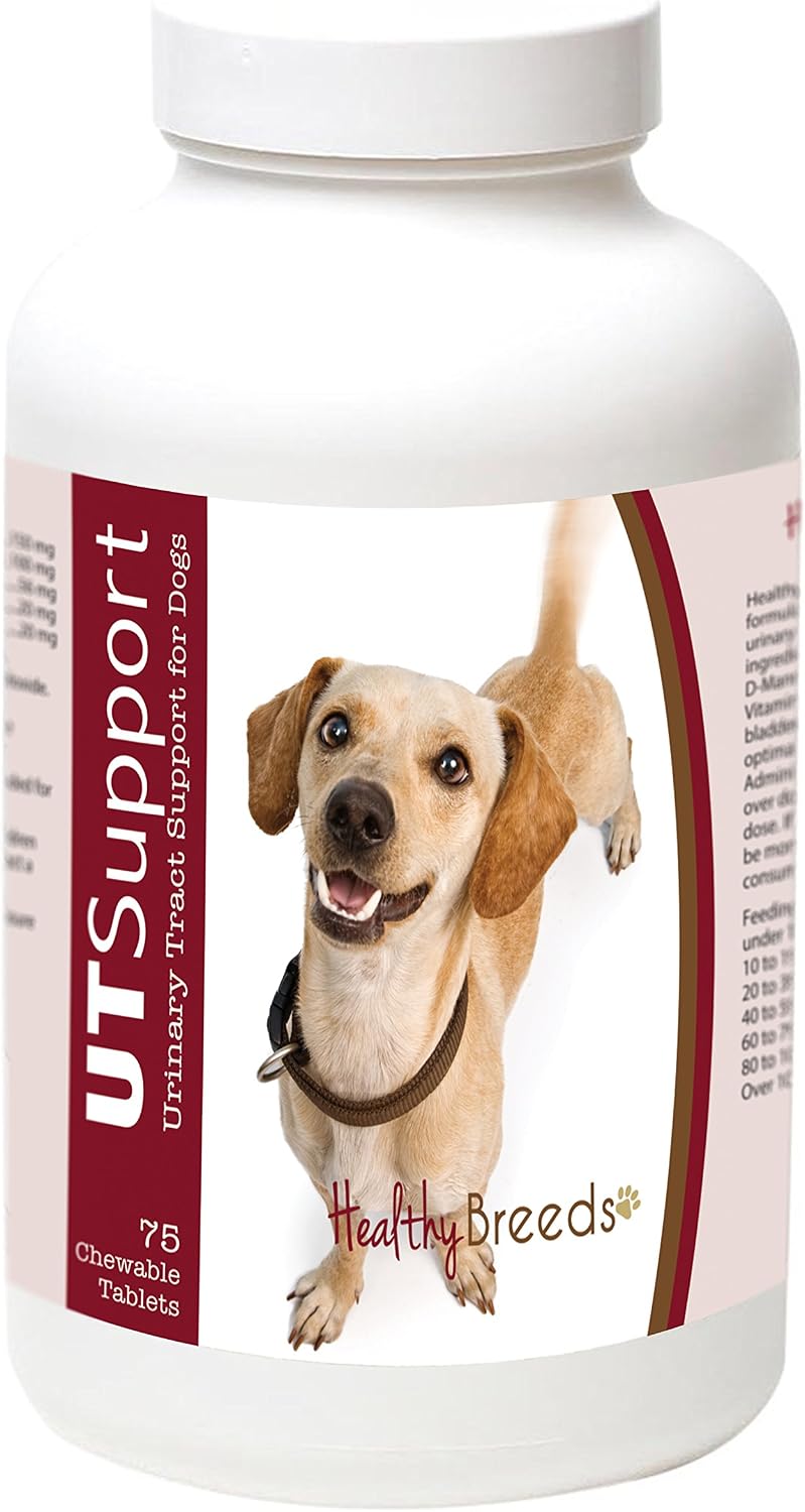 Healthy Breeds Chiweenie Cranberry Chewables - Urinary Tract Support - 75 Count - görsel 1