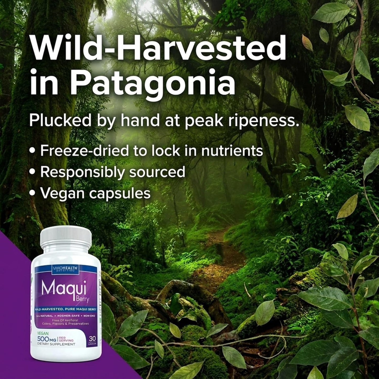 Pure Maqui Berry Extract Capsules - Antioxidant & Immune Support, 500mg, 30 Capsules - görsel 4