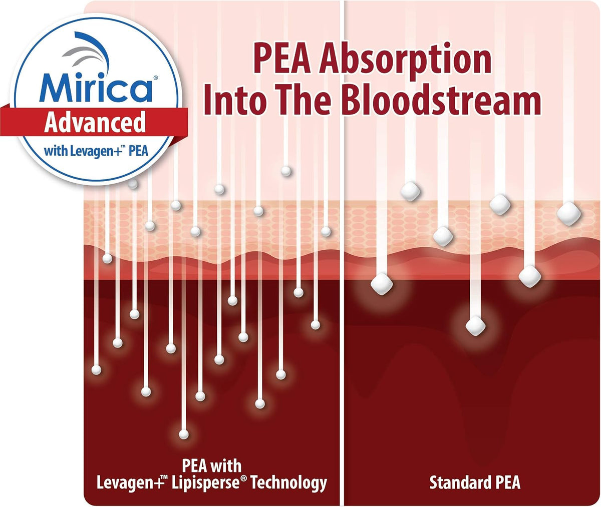 Mirica Advanced - 60 Capsules, High Absorption Formula with PEA, Luteolin & Polydatin for Nervous System Support - görsel 4