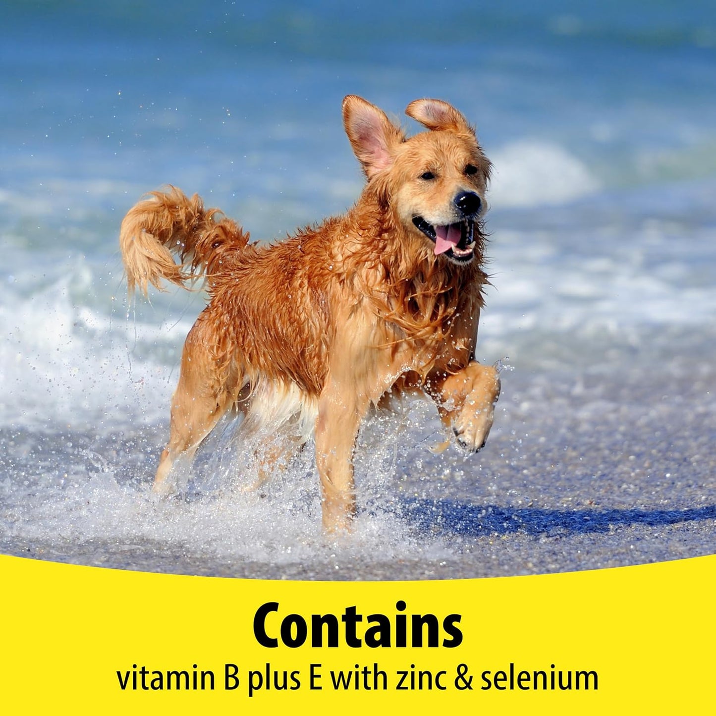 Vetzyme Dog B + E 200 Tablets - görsel 6