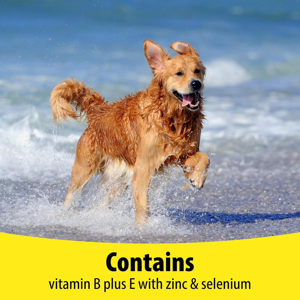 Vetzyme Dog B + E 200 Tablets - görsel 6