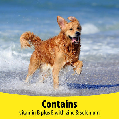 Vetzyme Dog B + E 200 Tablets