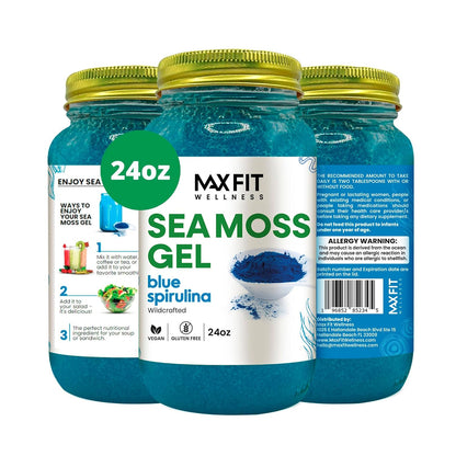 Sea Moss Gel 24oz (680g) – Wildcrafted Gold Sea Moss from Saint Lucia | 92 Vitamins and Minerals | Non-GMO | Vegan Superfood
