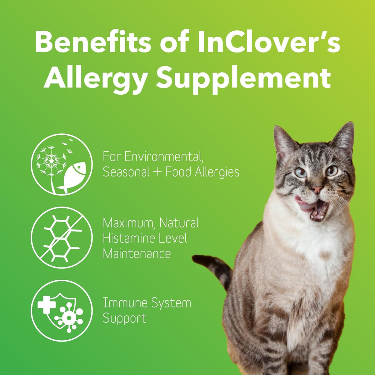 InClover Natural Dog and Cat Allergy Relief Supplement - görsel 2
