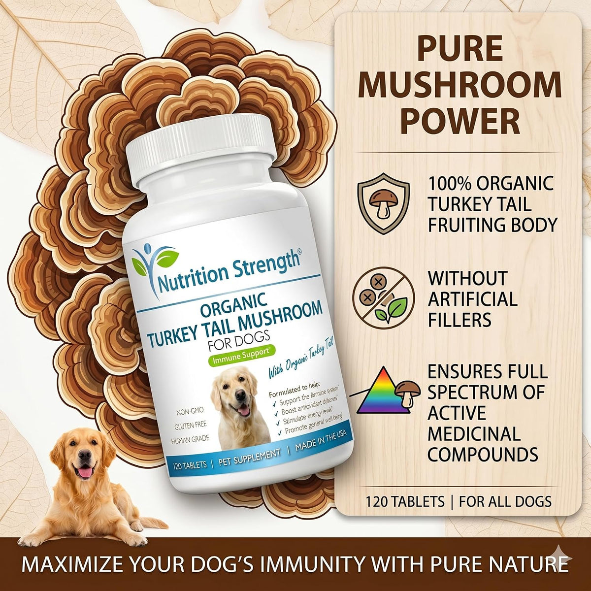 Nutrition Strength Organic Turkey Tail Mushroom for Dogs - 500mg Immune Support - 120 Chewable Tablets - görsel 5