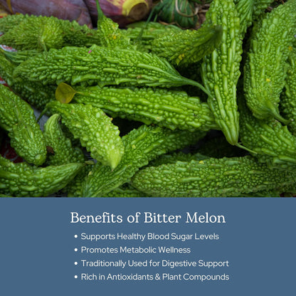 Eclectic Herb Bitter Melon Capsules - Digestion & Immune Support - 200 mg, 90 Capsules