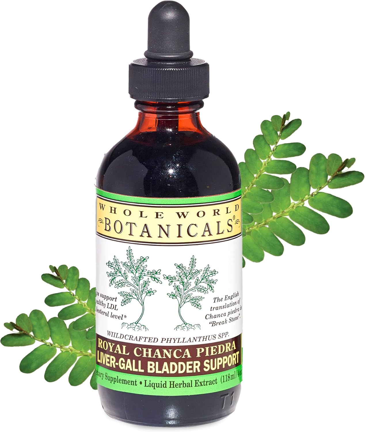 Whole World Botanicals Royal Chanca Piedra Liquid Extract – Liver and Gallbladder Support – 118 ml - görsel 2