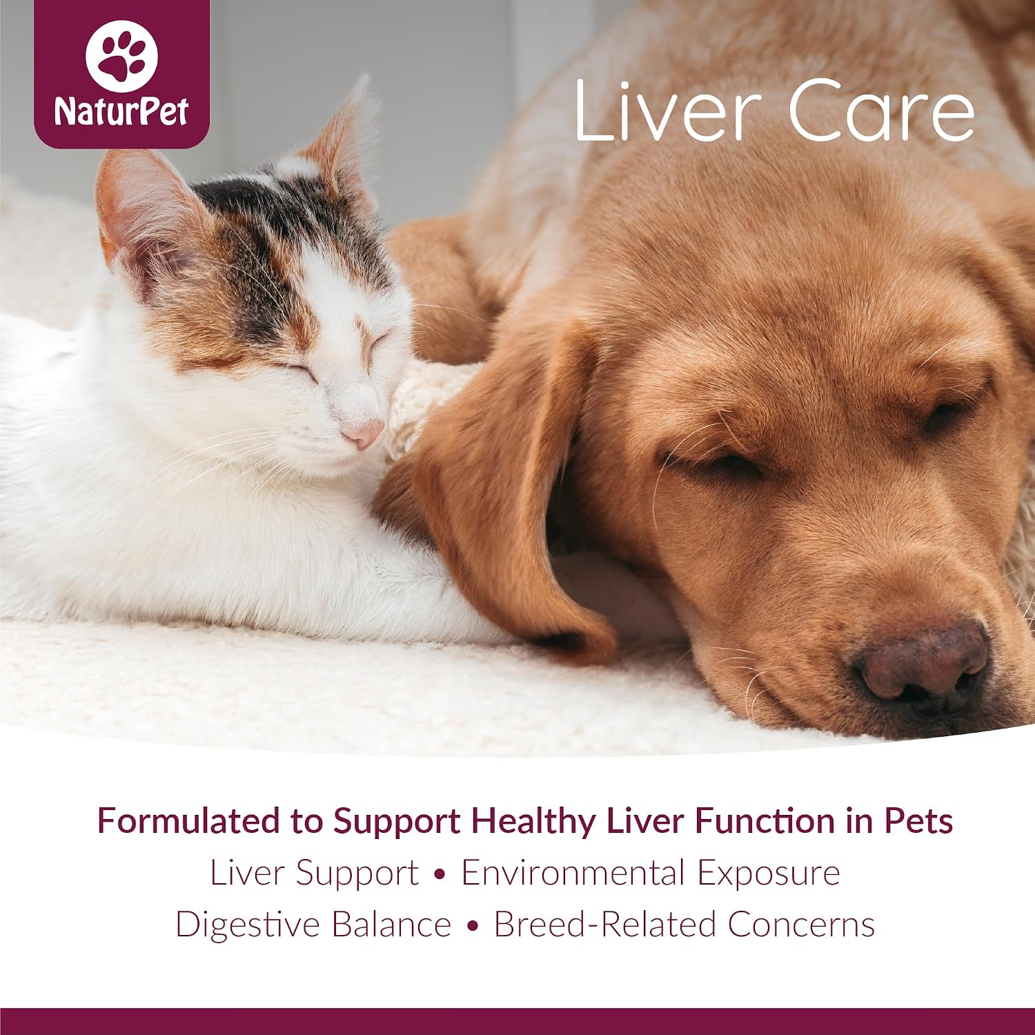Arrowleaf Pet Liver Care for Cats and Dogs – Milk Thistle Herbal Tincture, 100 ml - görsel 2