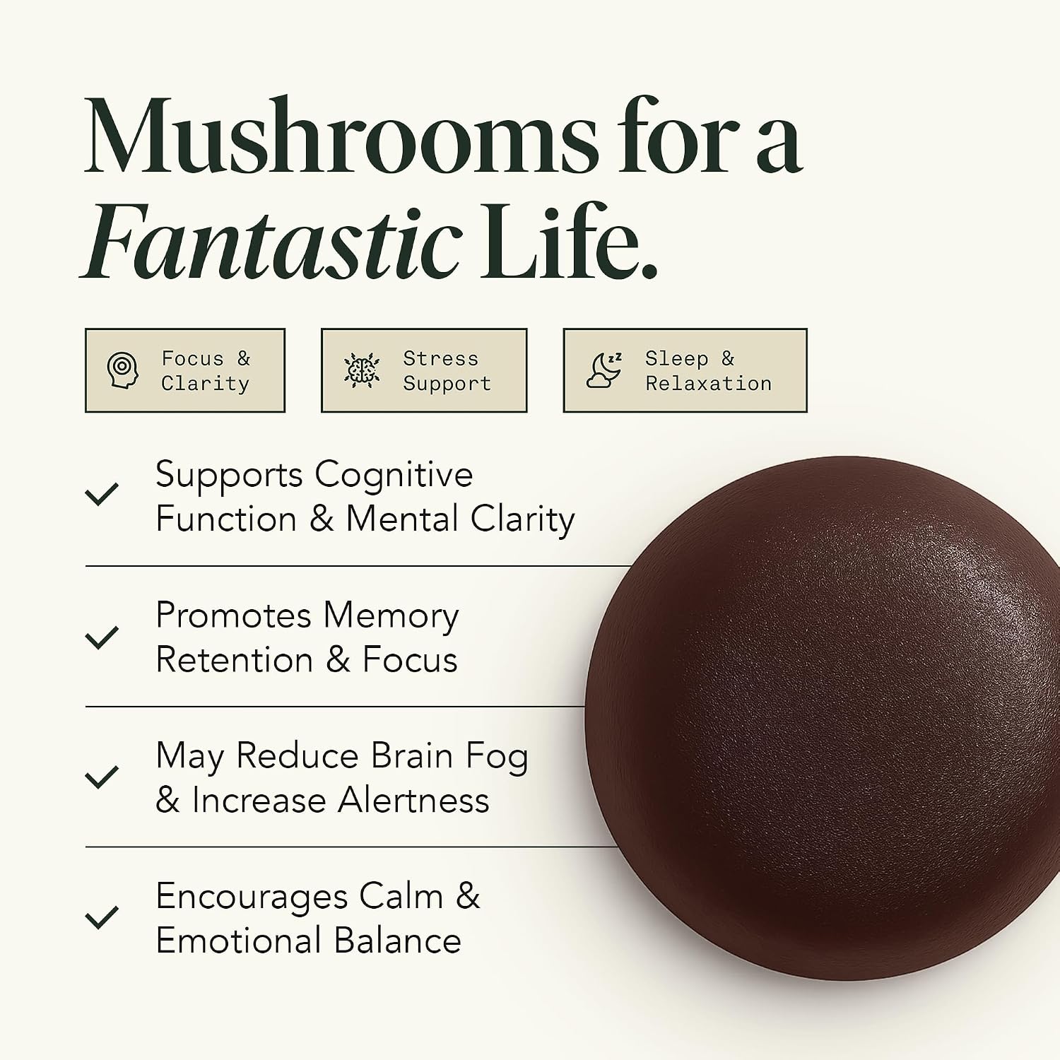 Organic Mushroom Gummies for Focus & Memory - Lion's Mane, Choline & Ashwagandha | Vegan, Sweet & Sour Flavour | 60 Chewables - görsel 2