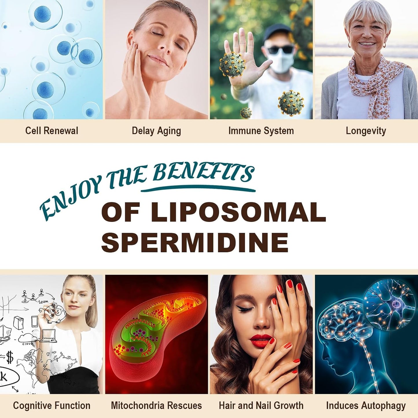 Sohahila Spermidine Supplement 15 mg - Liposomal with Zinc & Thiamine, 60 Softgels - görsel 7