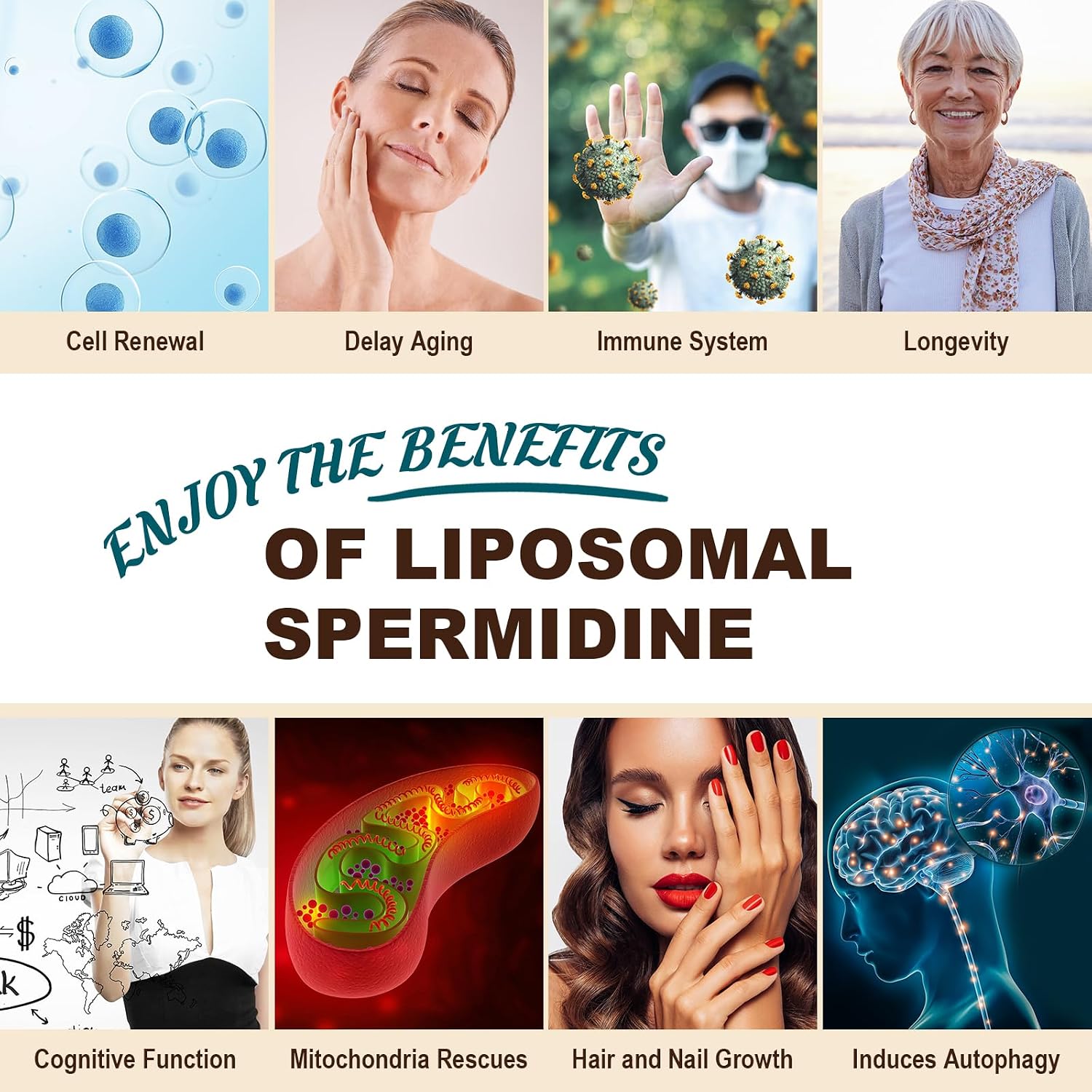 Sohahila Spermidine Supplement 15 mg - Liposomal with Zinc & Thiamine, 60 Softgels - görsel 7