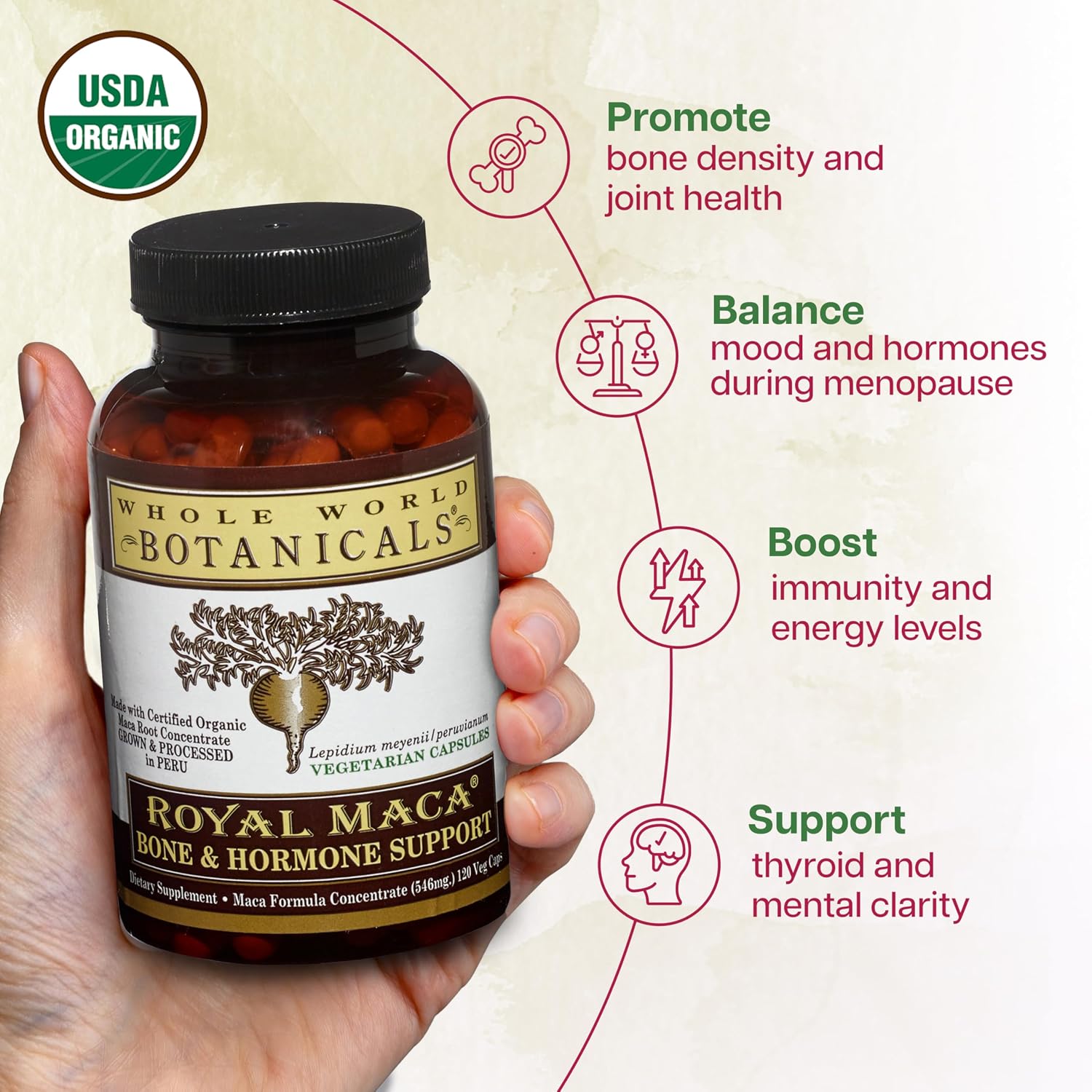 Whole World Botanicals Royal Maca Bone Support Capsules – Herbal Supplement with Vitamin D3, K2 & Magnesium – 120 Vegan Capsules - görsel 4
