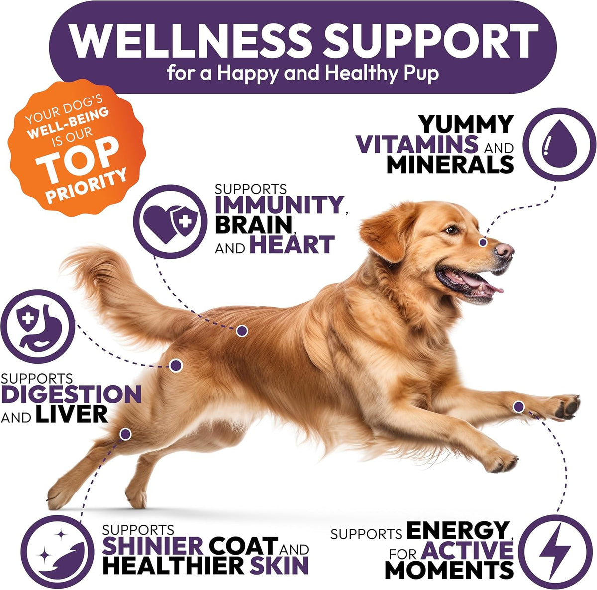 Petsology Dog Multivitamin Chewable - 170 Chews - görsel 4