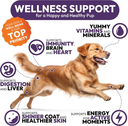 Petsology Dog Multivitamin Chewable - 170 Chews